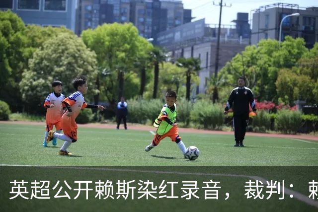 英超公开赖斯染红录音，裁判：赖斯你让我很难做