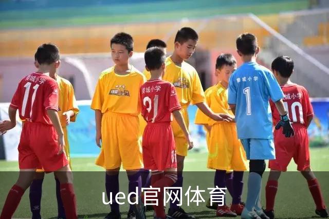 关于ued官网体育展示图